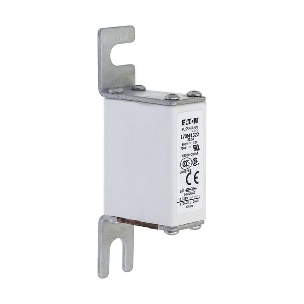 Fuse-link, high speed, 315 A, AC 690 V, DIN 000, 21 x 40 x 100 mm, aR, DIN, IEC image 7