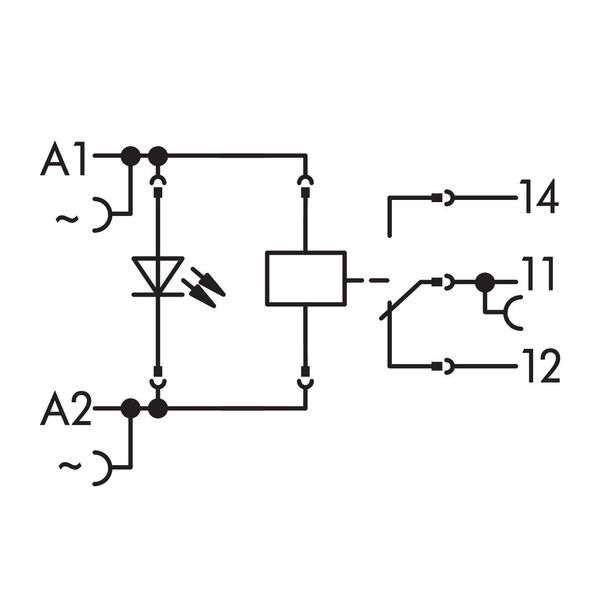 Relay module Nominal input voltage: 24 VAC 1 changeover contact gray image 10