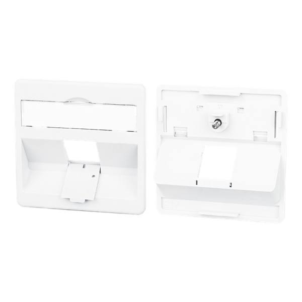 Central plate 50 x 50 mm 1 port, traffic white, modul image 3