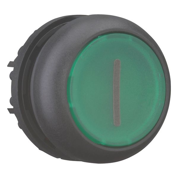 Illuminated pushbutton actuator, RMQ-Titan, Flush, momentary, green, inscribed, Bezel: black image 8