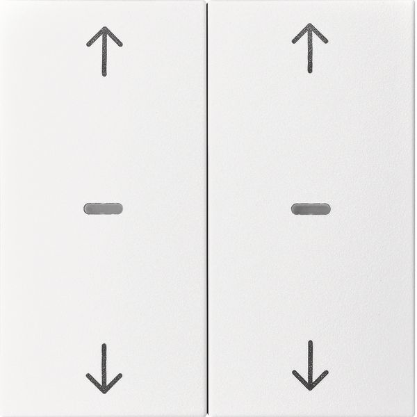 Cover arrow f. 2gang f. push-b. m, clearlenses, S.1/B.3/B.7, p.white m image 1