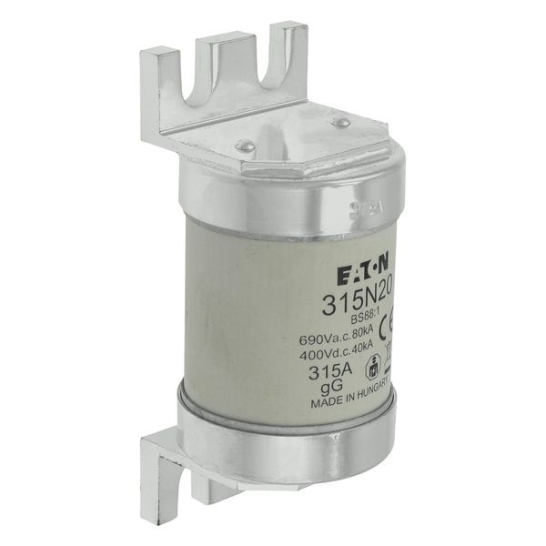 Fuse-link, low voltage, 315 A, AC 660 V, BS88, 49 x 110 mm, gL/gG, BS image 30