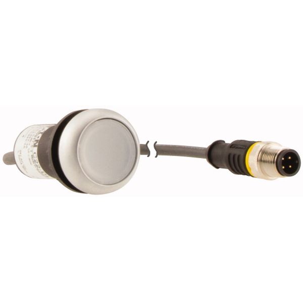 Illuminated pushbutton actuator, Flat, momentary, 1 N/O, Cable (black) with M12A plug, 4 pole, 0.2 m, LED white, White, Blank, 24 V AC/DC, Bezel: tita image 4