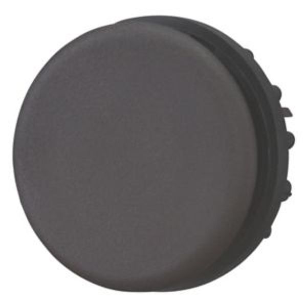Blanking plug, black, large packaging image 8