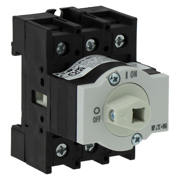 On-Off switch, P1, 40 A, rear mounting, 3 pole, Without metal shaft image 20