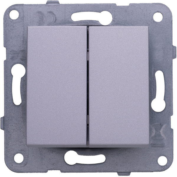 Karre Plus-Arkedia Silver Dual Switch image 1