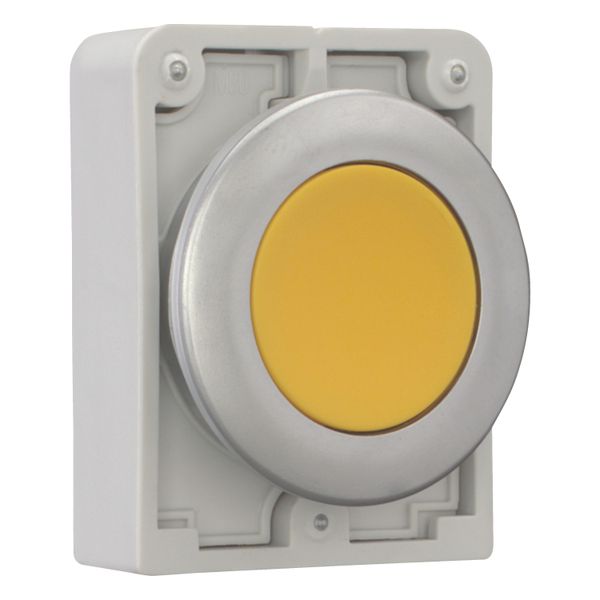 Pushbutton, RMQ-Titan, Flat, momentary, yellow, Blank, Metal bezel image 7
