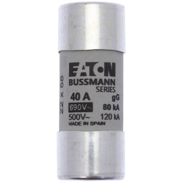 Fuse-link, LV, 40 A, AC 690 V, 22 x 58 mm, gL/gG, IEC image 2