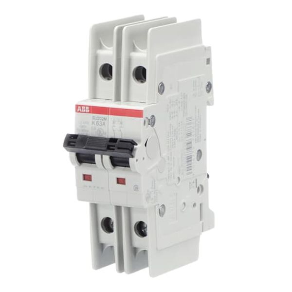 SU202M-Z63 Miniature Circuit Breaker - 2P - Z - 63 A image 6