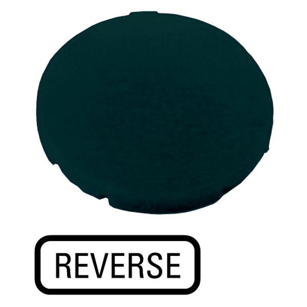 Button plate, flat black, REVERSE image 1