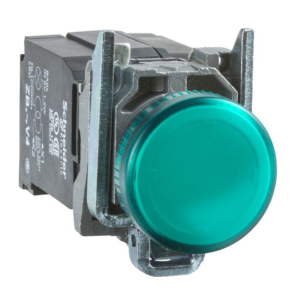 Harmony XB4, Pilot light, metal, green, Ø22, plain lens with integral LED, 110…120 VAC image 1