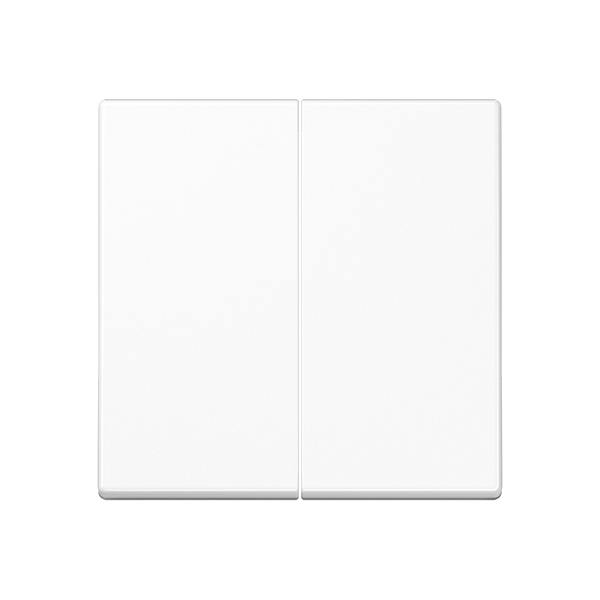 Centre plate for universal 2-gang dimmer A1565.07BFWW image 2
