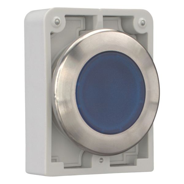 Illuminated pushbutton actuator, RMQ-Titan, flat, maintained, Blue, blank, Front ring stainless steel image 13