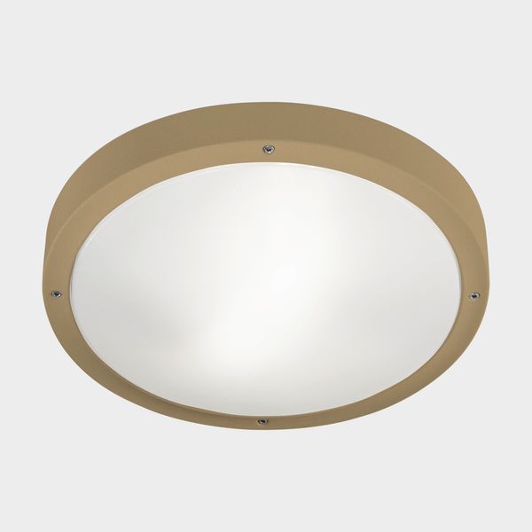 Ceiling fixture IP66 BASIC E27 E27 15;15W Gold image 1