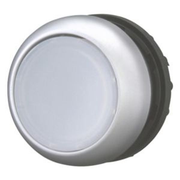 Illuminated pushbutton actuator, RMQ-Titan, Flush, momentary, White, Blank, Bezel: titanium image 2