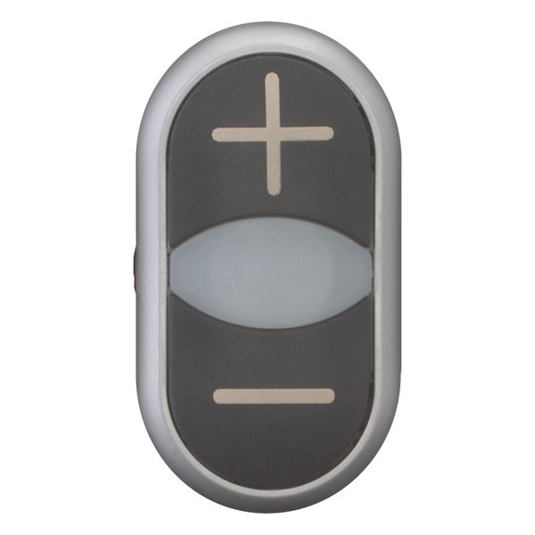 Double actuator pushbutton, RMQ-Titan, Actuators and indicator lights non-flush, momentary, White lens, black, black, inscribed, Bezel: titanium, arro image 10