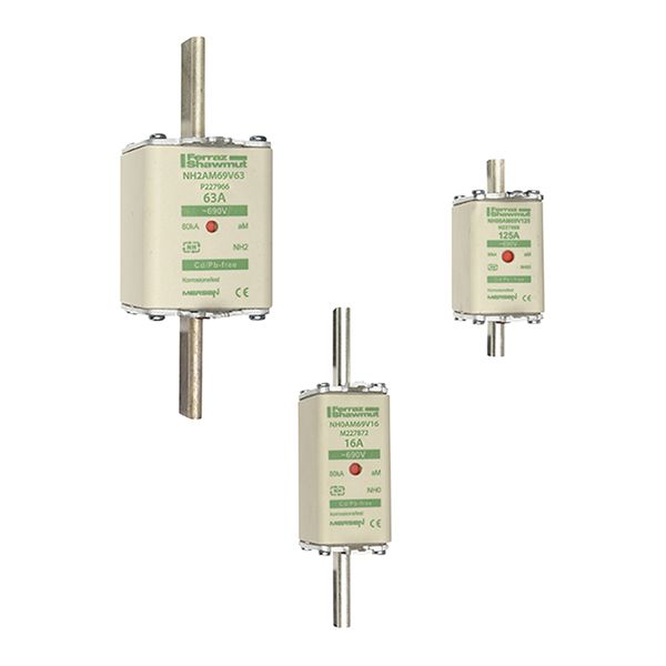 Fuse-link NH3 aM 690VAC 250A live tags Double indicator image 2