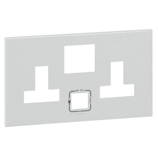 Plate British standard Arteor - for 1 gang single pole switched socket outlet with USB charger - soft alu image 1