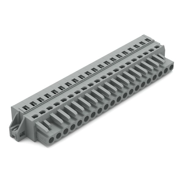 1-conductor female connector CAGE CLAMP® 2.5 mm² gray image 1