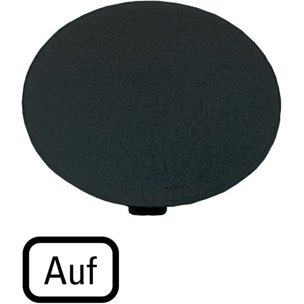 Button plate, mushroom black, UP image 4