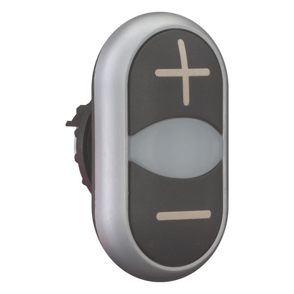 Double actuator pushbutton, RMQ-Titan, Actuators and indicator lights non-flush, momentary, White lens, black, black, inscribed, Bezel: titanium, arro image 7