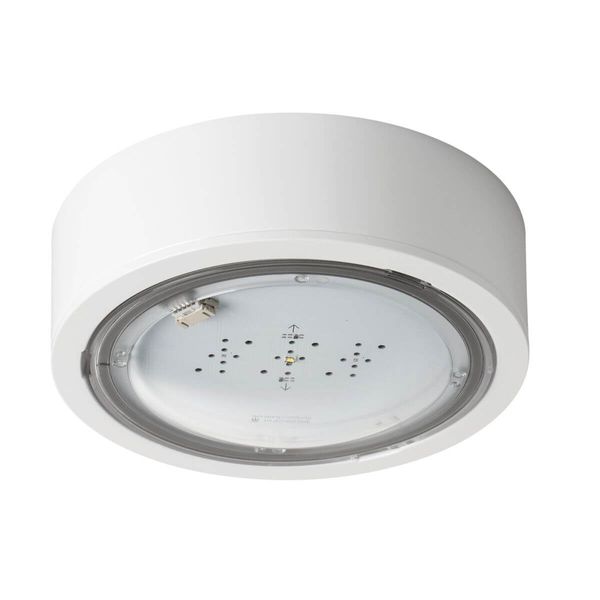 iTECHF2105MATW Emergency lighting LED image 1