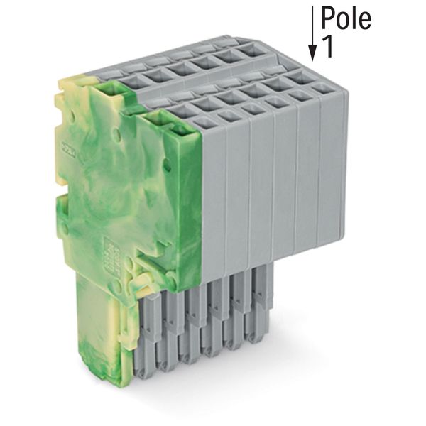 2-conductor female connector Push-in CAGE CLAMP® 1.5 mm² green-yellow/ image 1