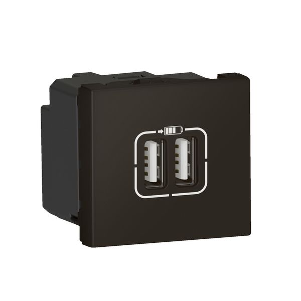 MOSAIC 2 USB CHARGER 2 MOD A+A 3A 15W BLACK image 1