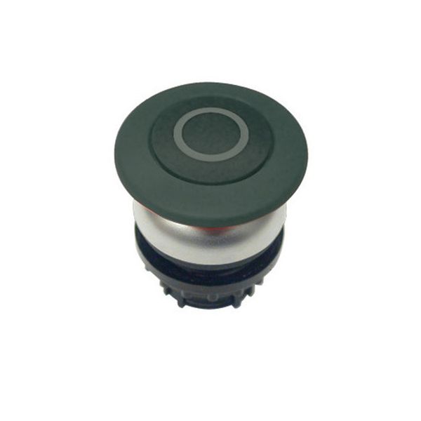 Mushroom actuator, RMQ-Titan, Mushroom, momentary, Mushroom black, black, inscribed, Bezel: titanium image 5