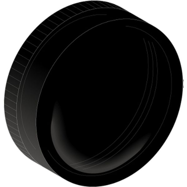 BLACK PROTECTION RING image 1