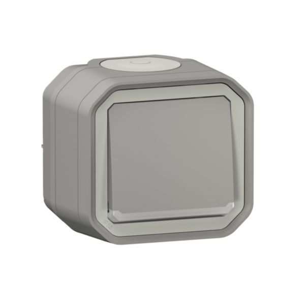 Plexo 10A waterproof illuminated switch or two-way switch supplied complete with indicator light for gray surface mounting image 1