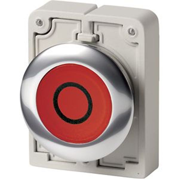 Illuminated pushbutton actuator, RMQ-Titan, Flat, momentary, red, inscribed 0, Metal bezel image 2