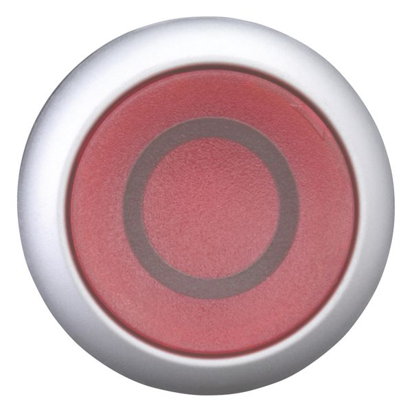 Illuminated pushbutton actuator, RMQ-Titan, Flush, momentary, red, inscribed, Bezel: titanium image 6