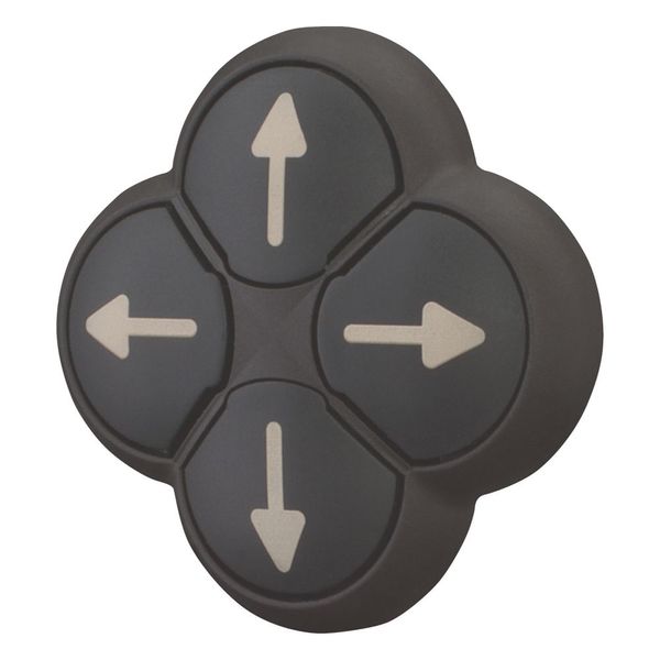 Position pushbutton, RMQ-Titan, Actuators non-flush, momentary, 4-fold, opposing pushbuttons mechanically interlocked, Bezel: black, arrow up image 5