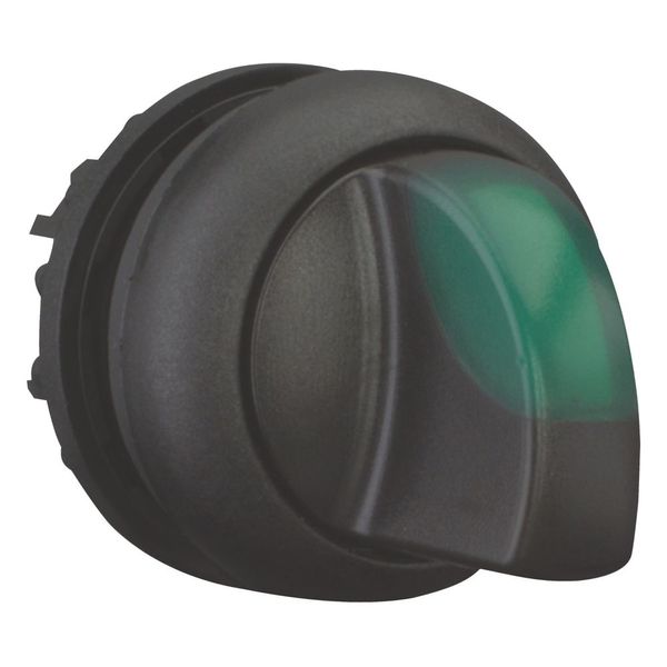 Illuminated selector switch actuator, RMQ-Titan, With thumb-grip, momentary, 2 positions, green, Bezel: black image 9