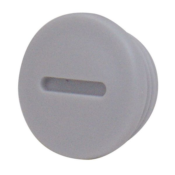 Metric blanking plug M50x1.5 image 1