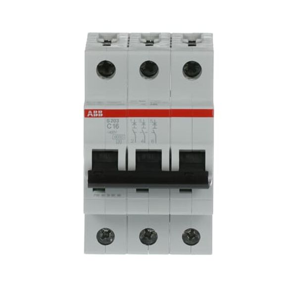 S203-C16 Miniature Circuit Breaker - 3P - C - 16 A image 4
