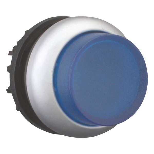 Illuminated pushbutton actuator, RMQ-Titan, Extended, momentary, Blue, Blank, Bezel: titanium image 6