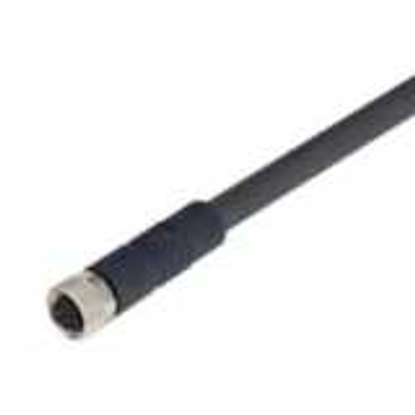Female cable connector for D41D, straight, screw type M8, 8 poles, PUR image 1