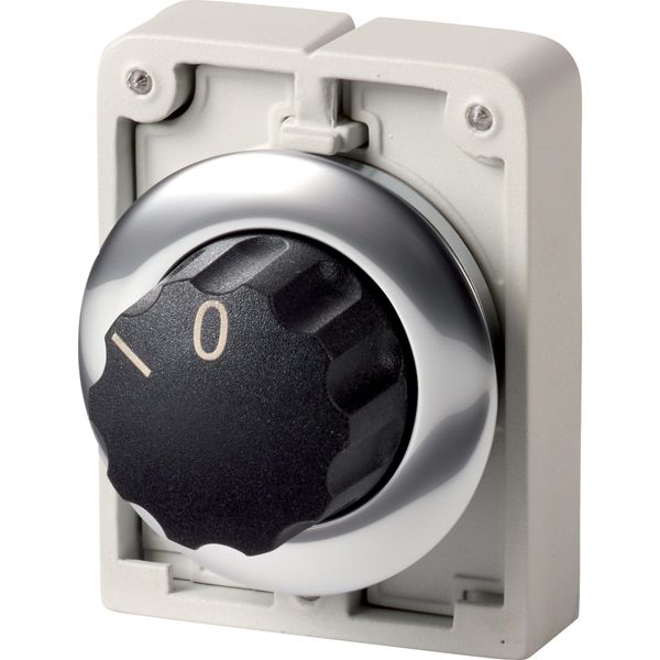 Changeover switch, RMQ-Titan, With rotary head, momentary, 2 positions, inscribed, Metal bezel image 4