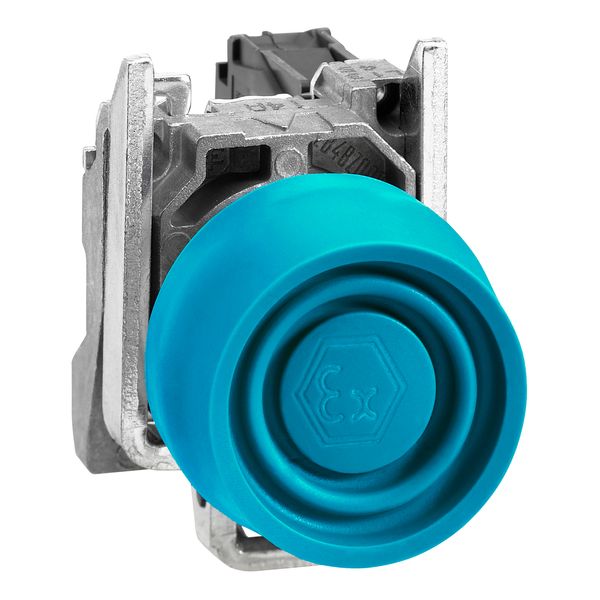 ATEX PUSHBUTTON image 1