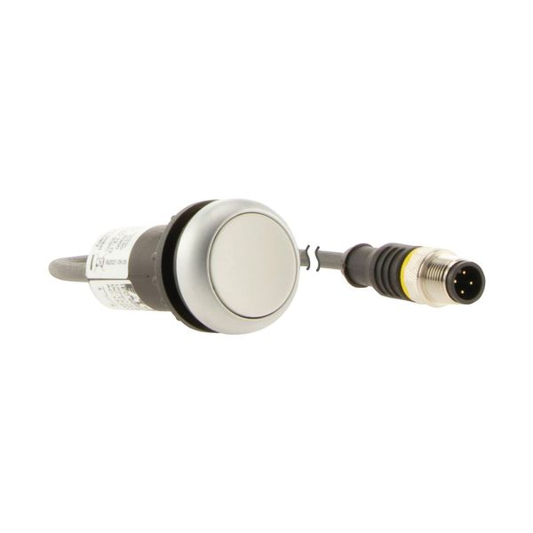 Pushbutton, flat, maintained, white, 1 N/O, with cable 1m and M12A plug image 10