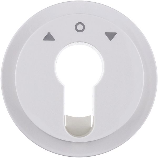 Centre plate f. key push-button f. blinds/key switch, R.1/R.3, polar w image 1