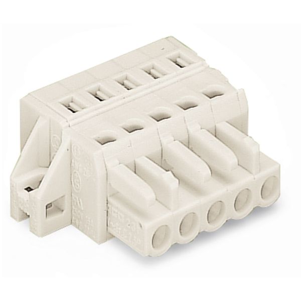 1-conductor female connector CAGE CLAMP® 2.5 mm² light gray image 1