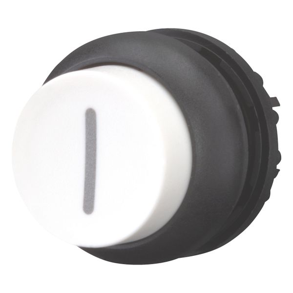 Pushbutton, RMQ-Titan, Extended, maintained, White, inscribed, Bezel: black image 2