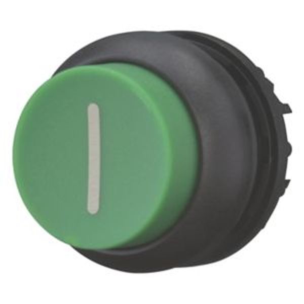 Pushbutton, RMQ-Titan, Extended, maintained, green, inscribed, Bezel: black image 8