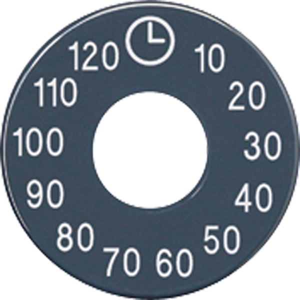 Spare scale disc SKS11120-20 image 3