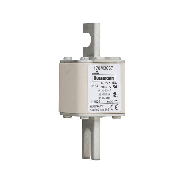 Fuse-link, high speed, 315 A, AC 690 V, compact DIN 1, 45 x 58 x 104 mm, aR, DIN, IEC, single indicator image 13