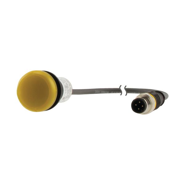 Indicator light, Flat, Cable (black) with M12A plug, 4 pole, 0.5 m, Lens yellow, LED white, 24 V AC/DC image 6