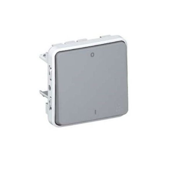 Double pole switch Plexo IP 55 - 10 AX - 250 V~ - modular - grey image 2